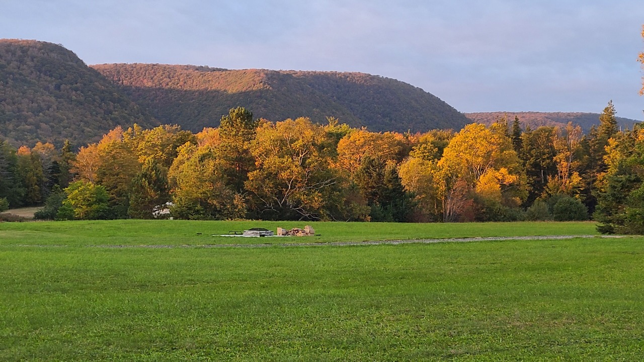 Photo of Others in Margaree Valley