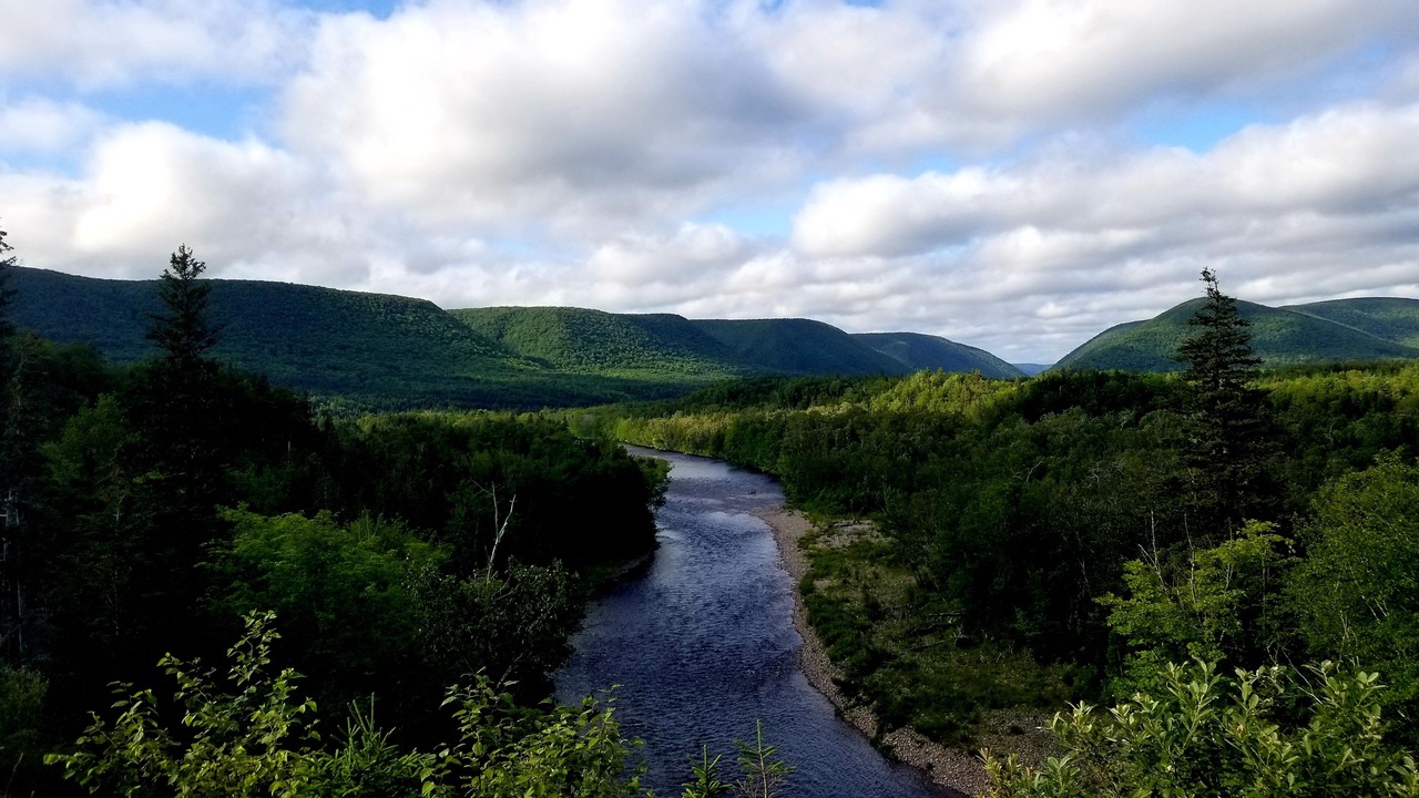 Photo of Others in Margaree Valley