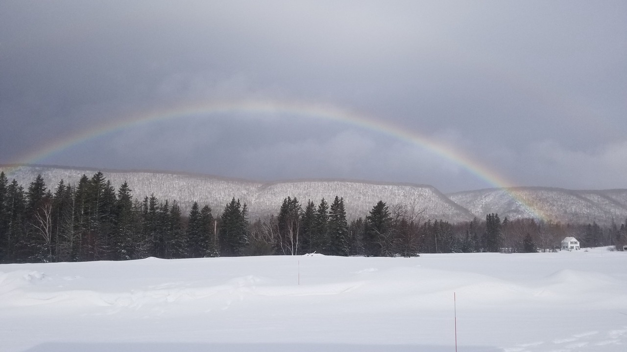Photo of Others in Margaree Valley