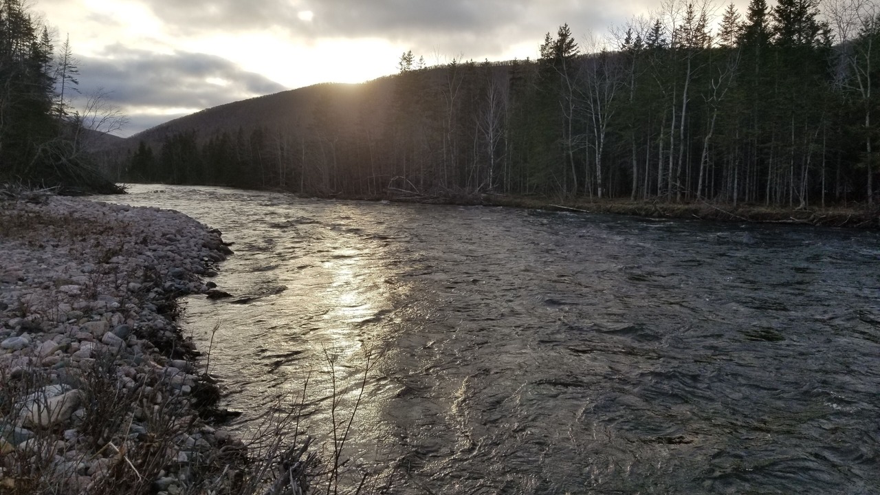 Photo of Others in Margaree Valley