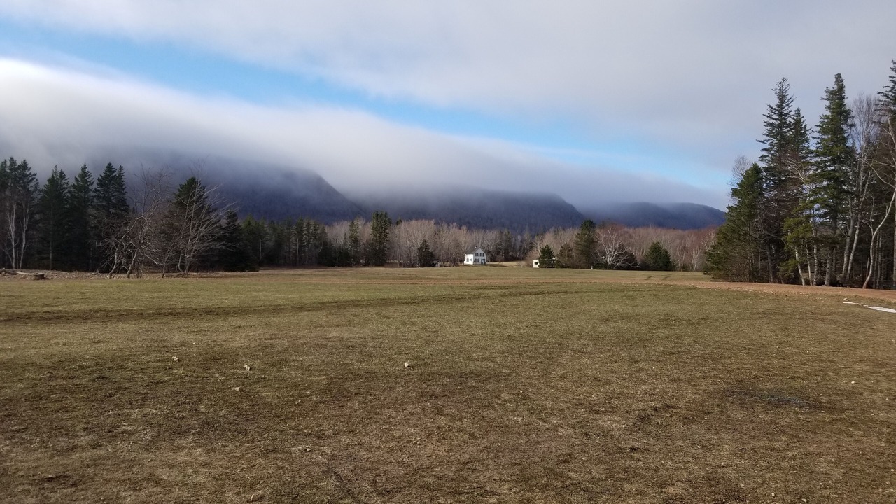 Photo of Others in Margaree Valley