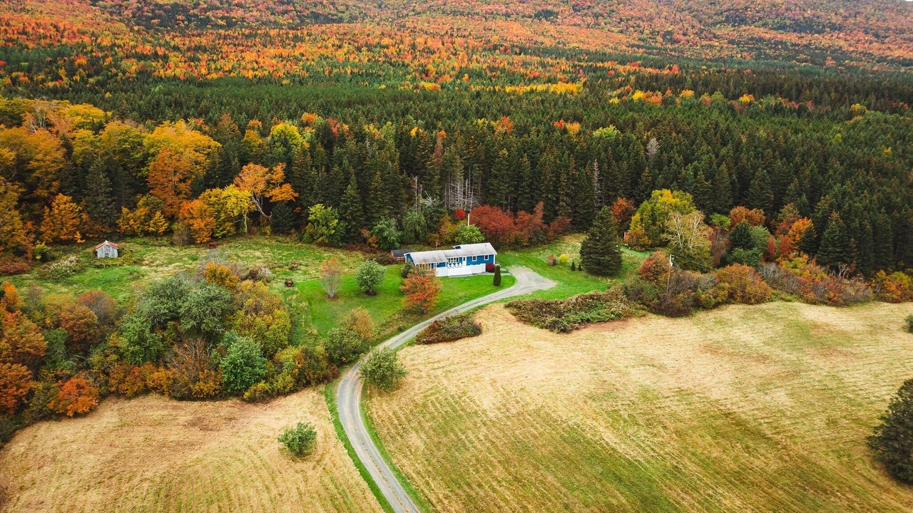Photo of Outdoor in Margaree Forks