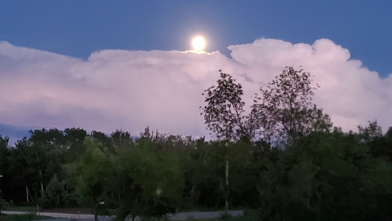 Photo of Outdoor in Strathclair