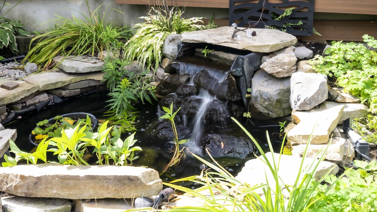 Photo of Outdoor in Bois-Franc