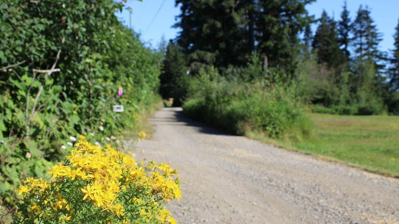 Photo of Outdoor in Black Creek