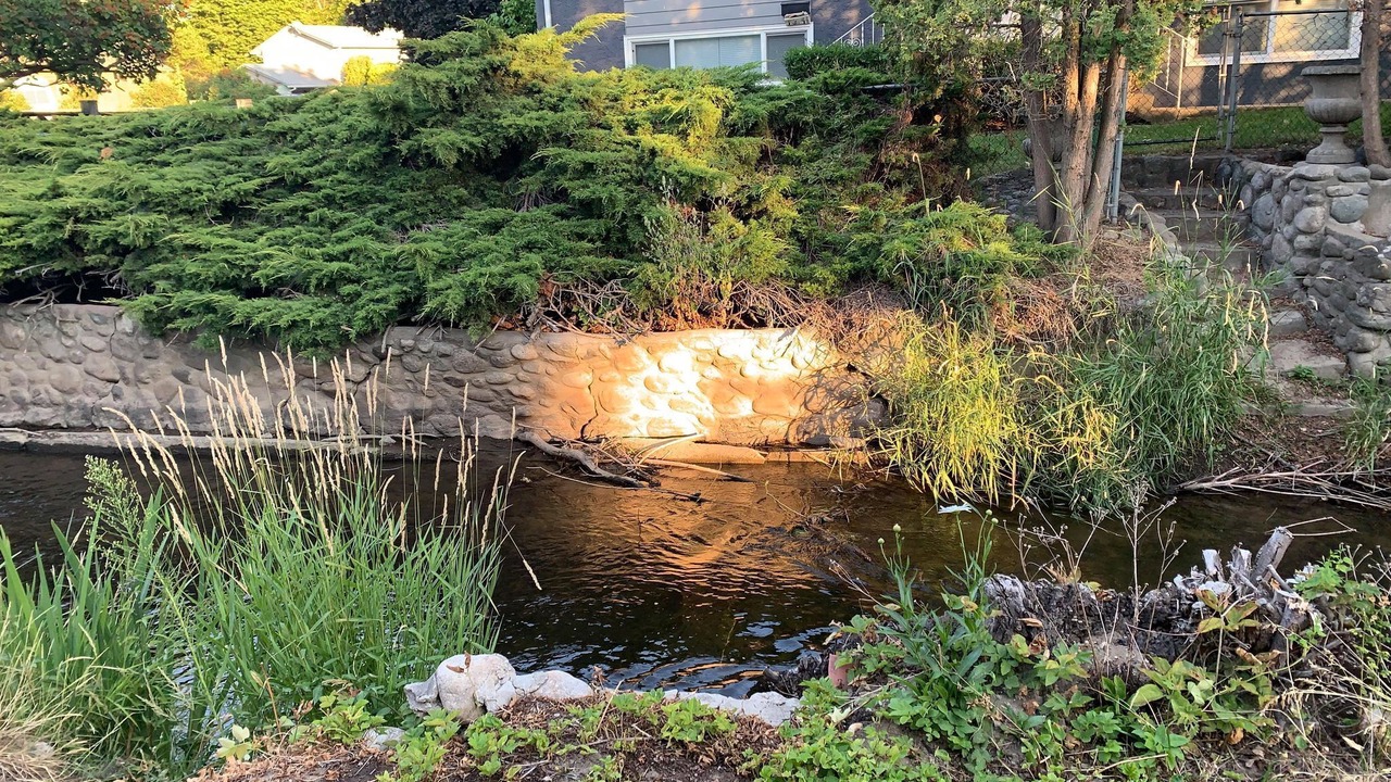 Photo of Outdoor in South Central