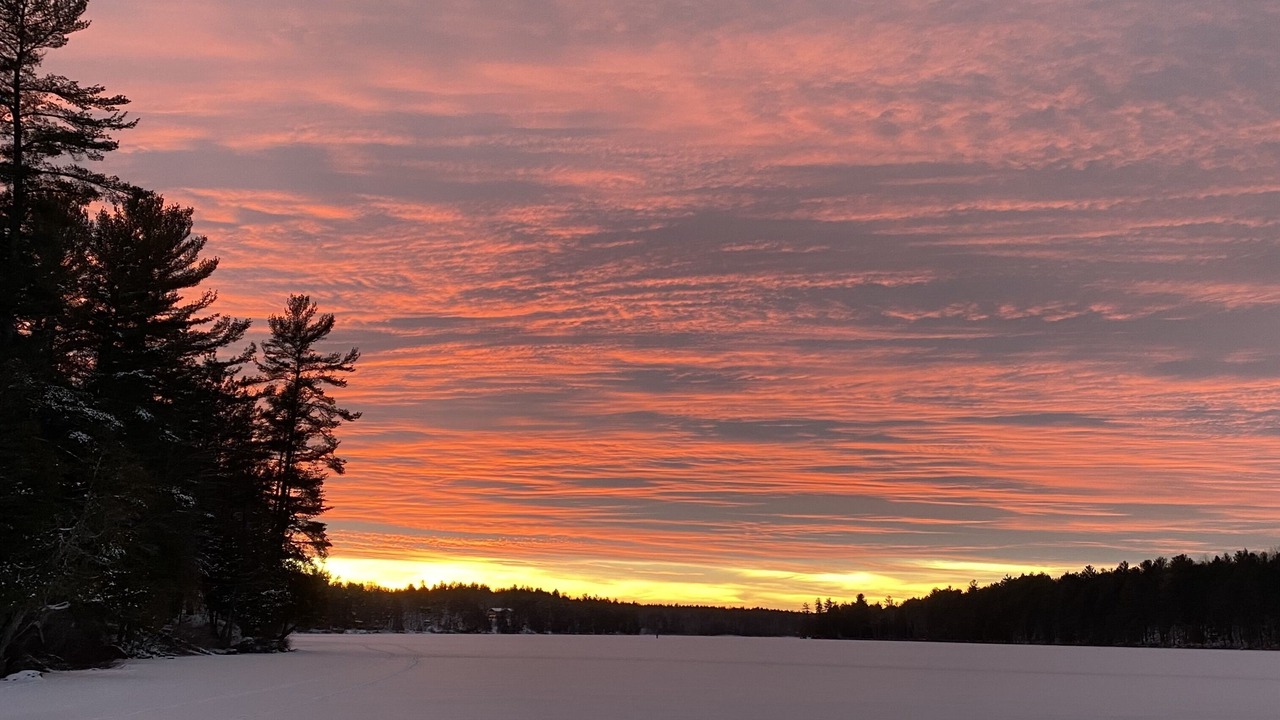 Photo of Others in Petawawa