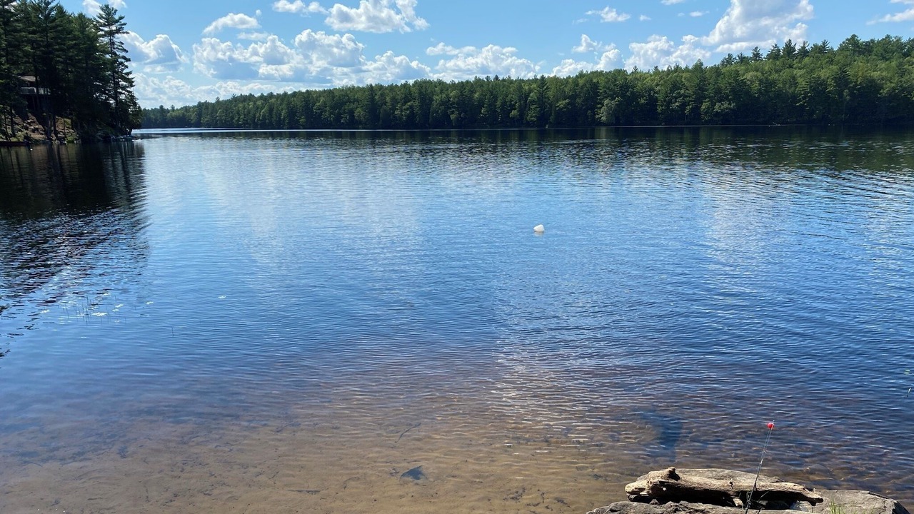 Photo of Others in Petawawa