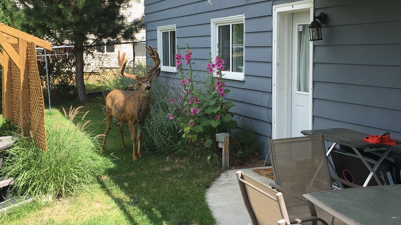 Photo of Others in Central Okanagan