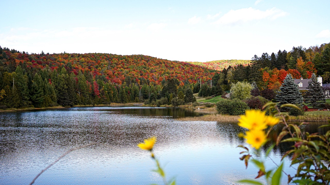 Photo of Outdoor in Rawdon
