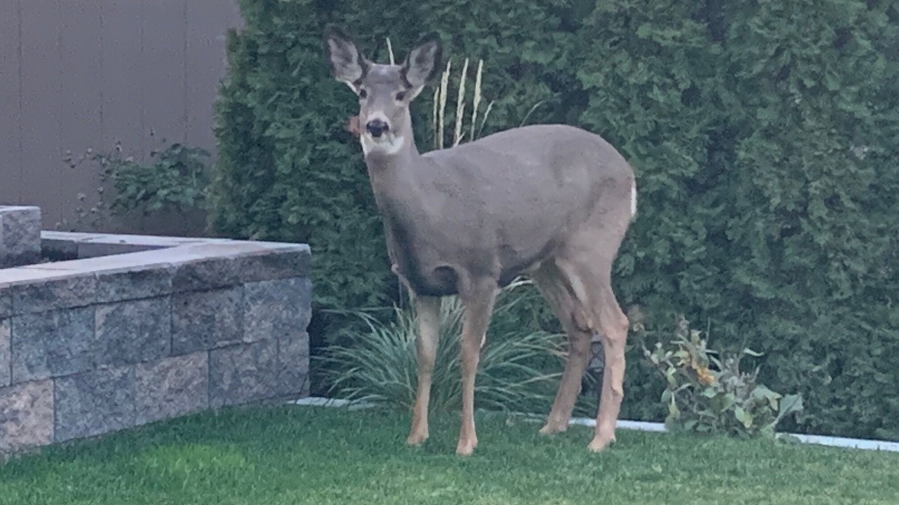 Photo of Others in Okanagan-Similkameen