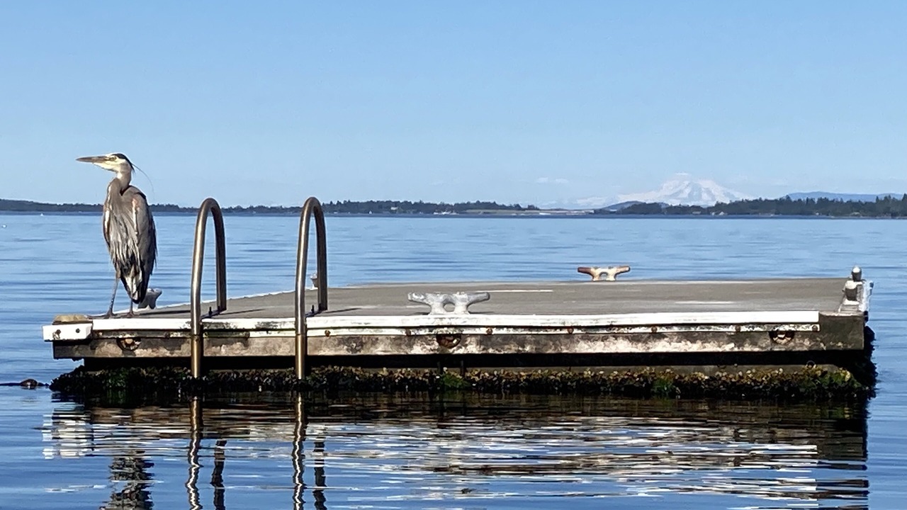 Photo of Outdoor in Mill Bay
