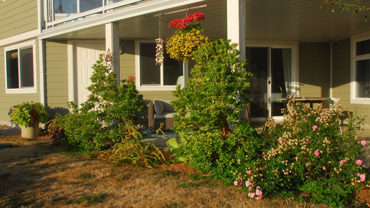 Photo of Patio Balcony in Mill Bay