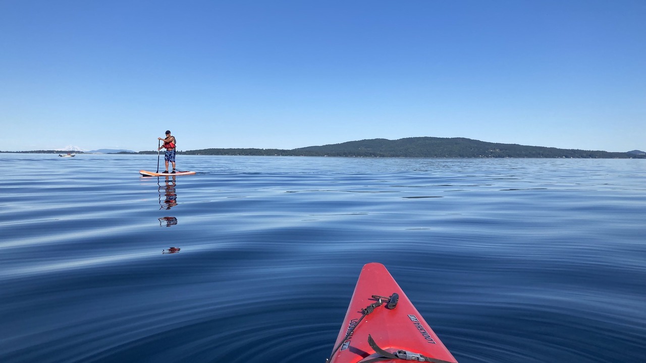 Photo of Others in Mill Bay