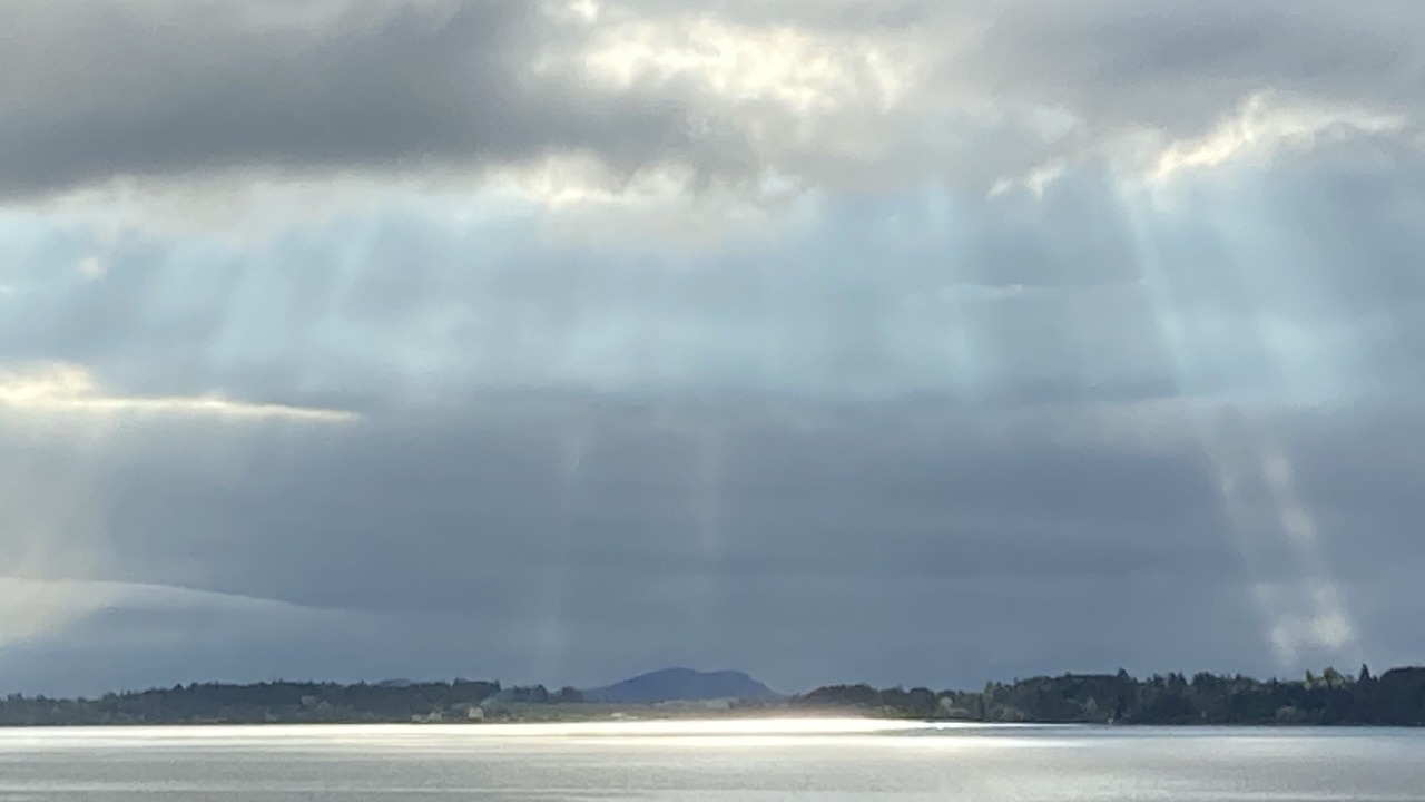Photo of Others in Mill Bay