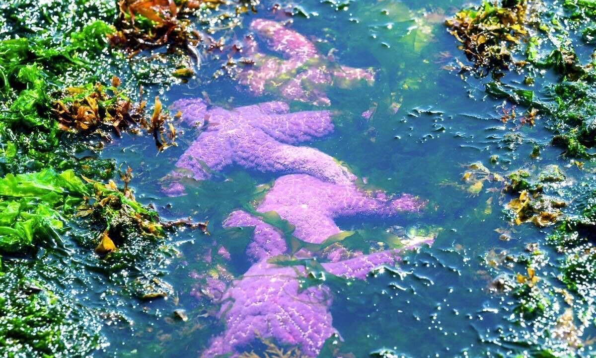 Photo of Outdoor in Regional District of Nanaimo