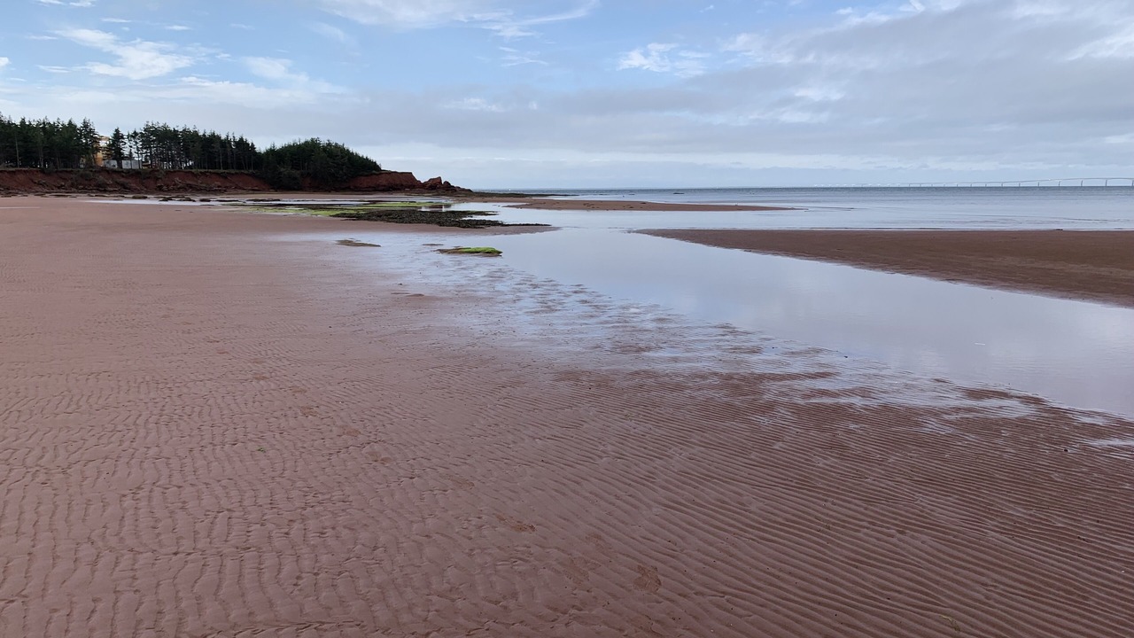Photo of Others in Cape Traverse