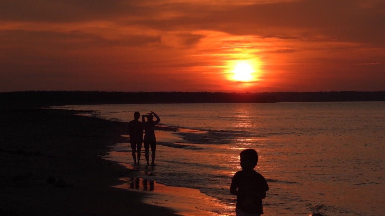 Photo of Others in Brackley Beach