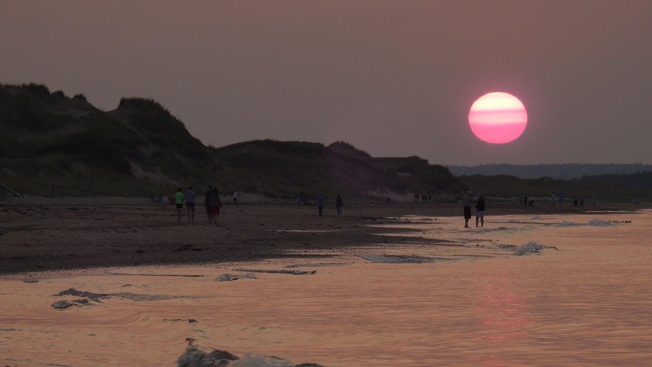 Photo of Others in Brackley Beach
