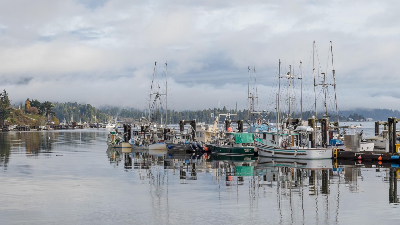 Photo of Others in Sooke