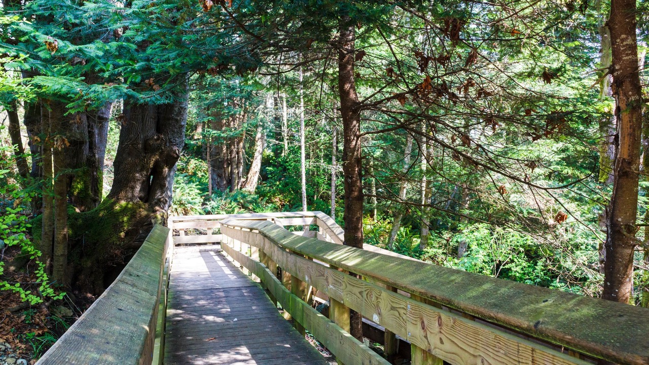 Photo of Outdoor in Sooke