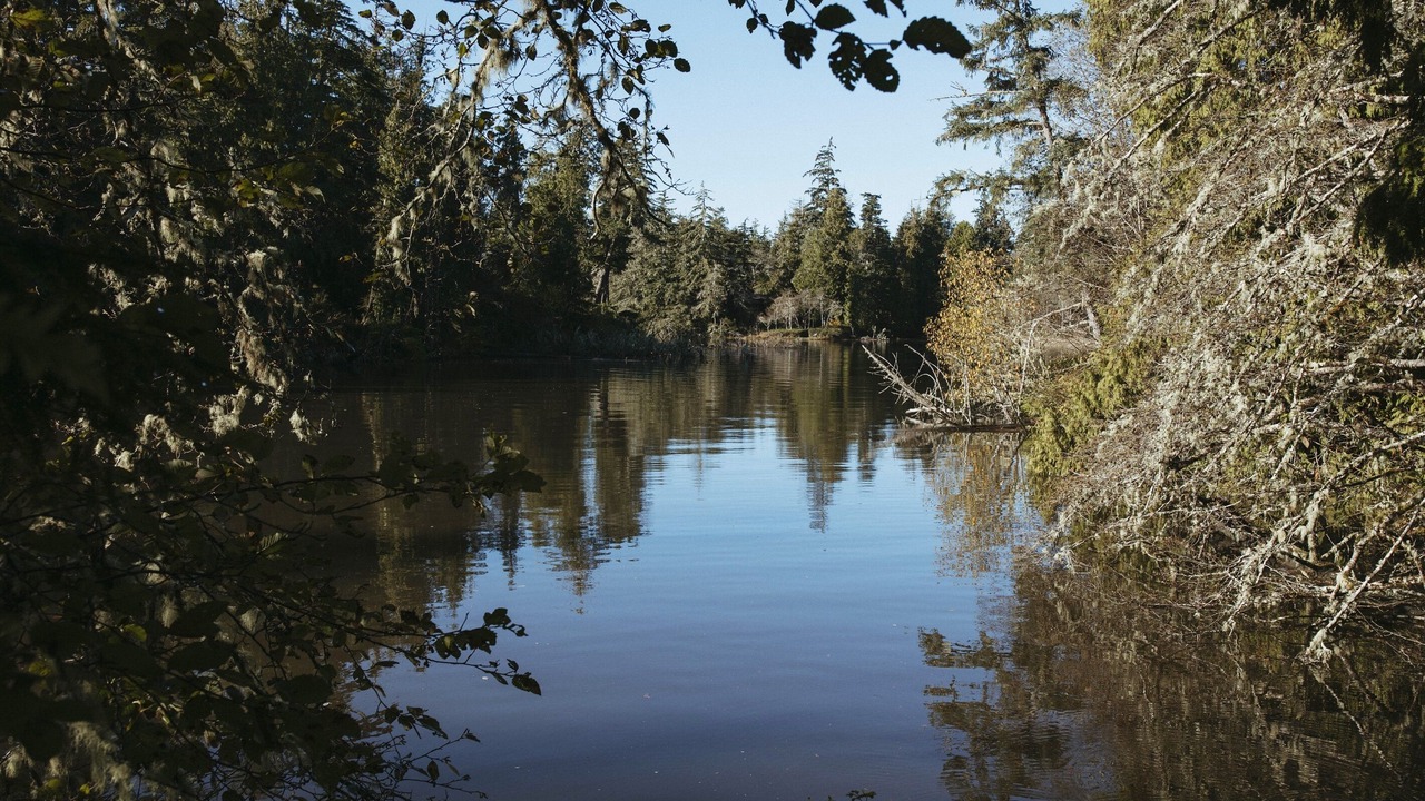 Photo of Others in Tofino
