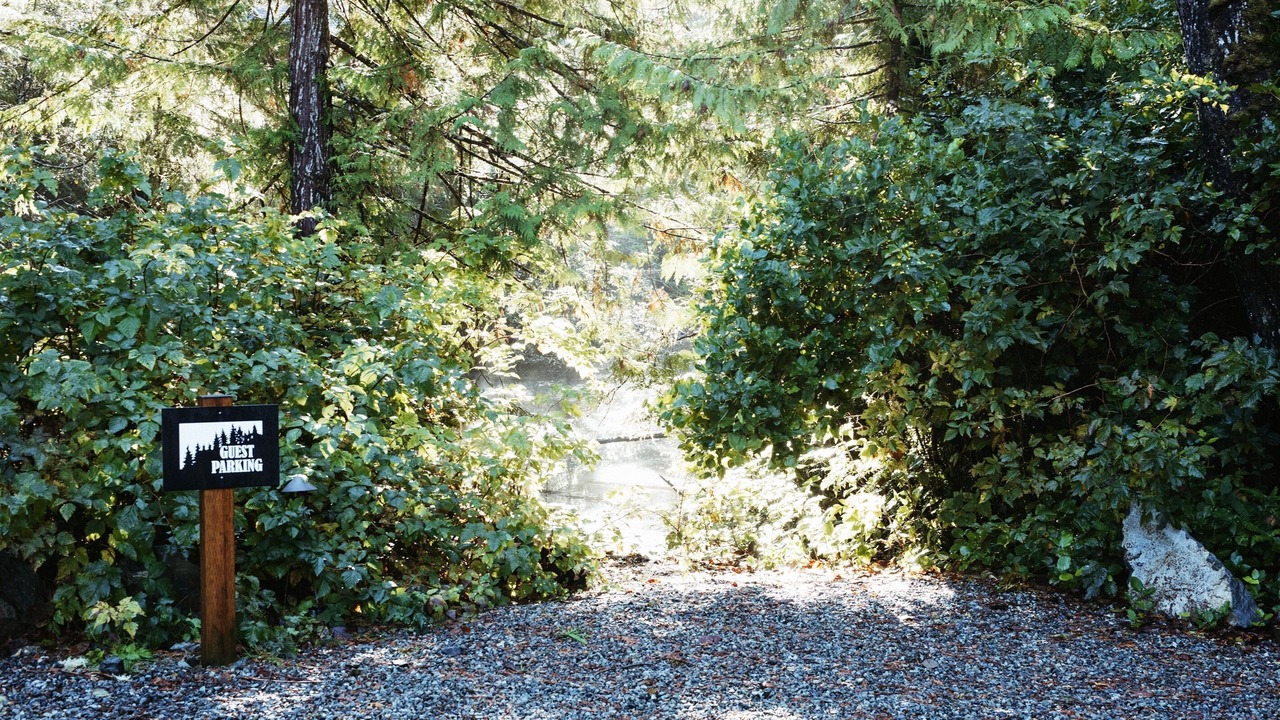 Photo of Outdoor in Tofino