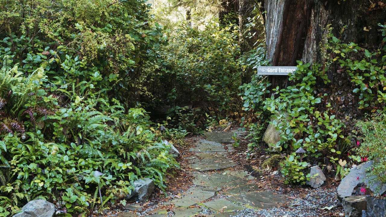 Photo of Outdoor in Tofino