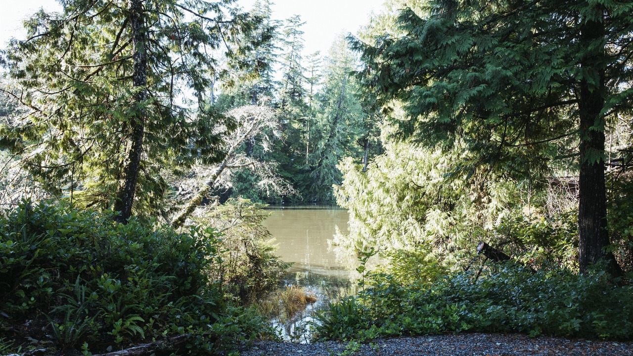 Photo of Outdoor in Tofino