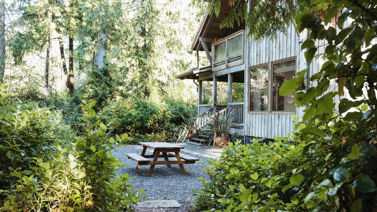Photo of Outdoor in Tofino