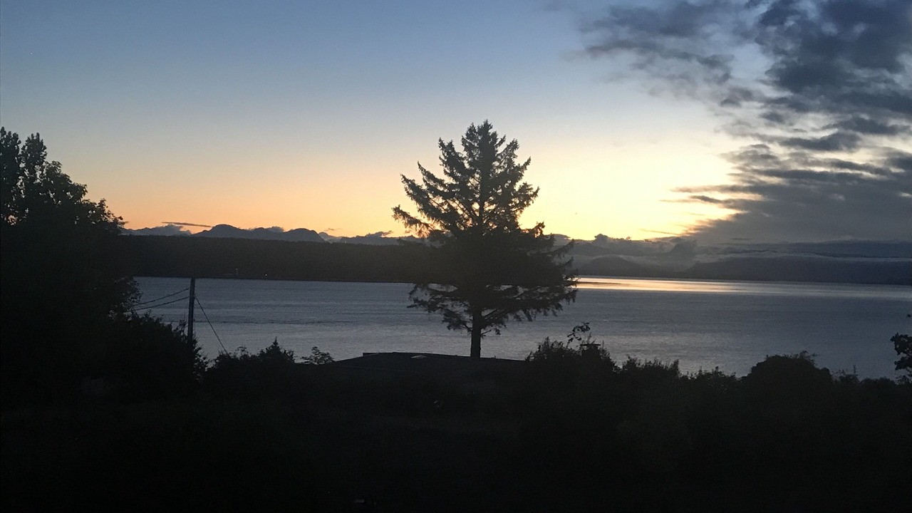 Photo of Others in Campbell River