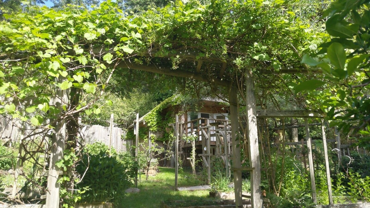 Photo of Outdoor in Pender Island