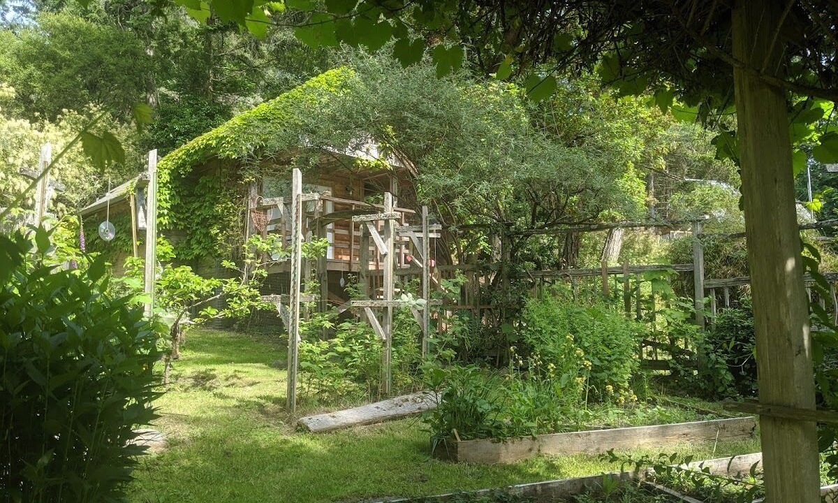 Photo of Outdoor in Pender Island