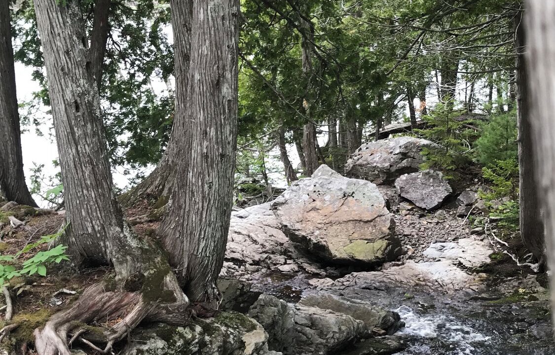Photo of Outdoor in Saint Croix