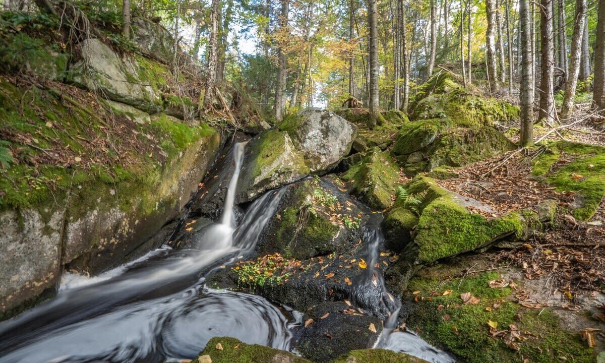 Photo of Outdoor in Saint Donat