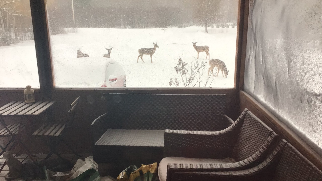 Photo of Others in North Algona Wilberforce