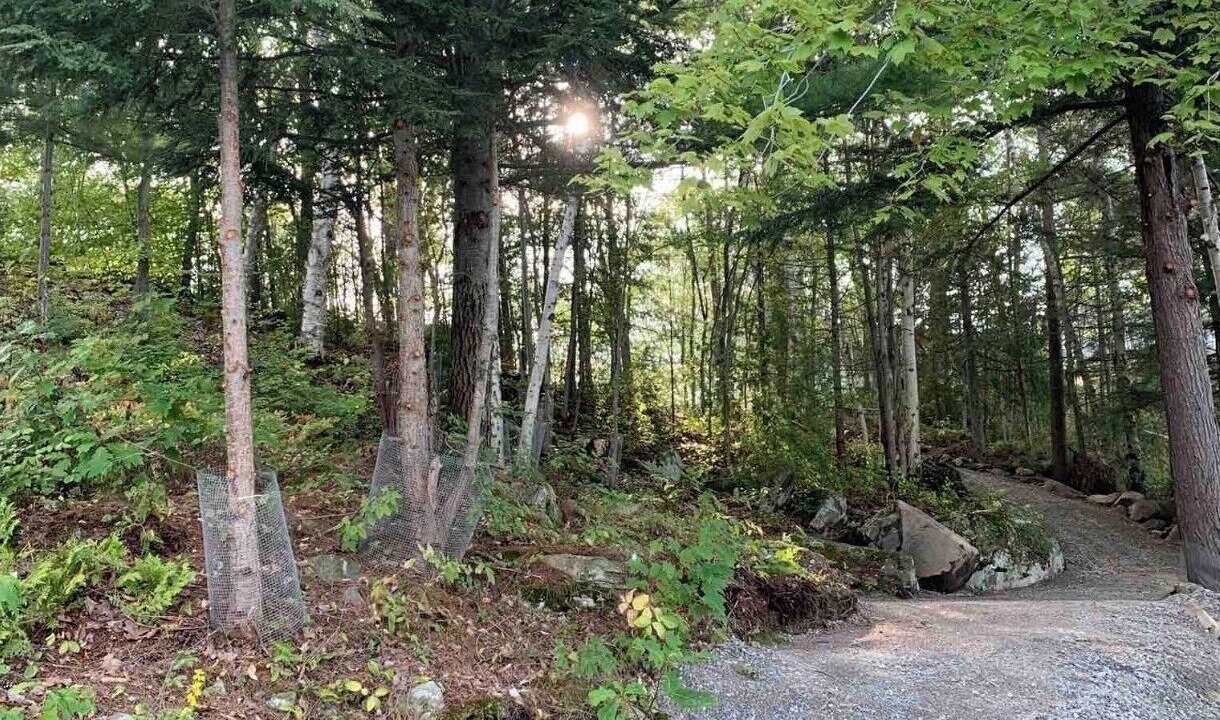 Photo of Outdoor in Georgian Bay
