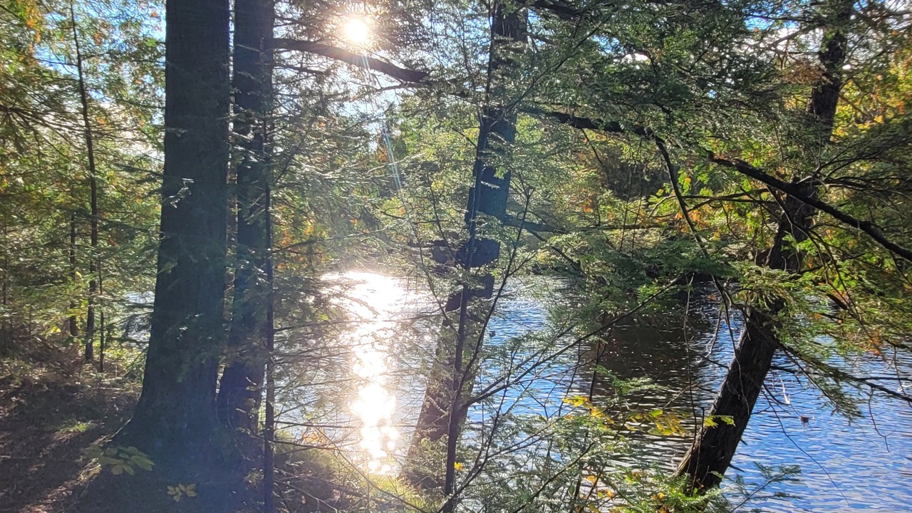 Photo of Others in Lanark Highlands