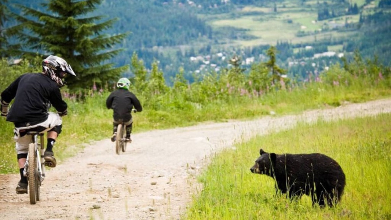 Photo of Others in Whistler Cay Estates
