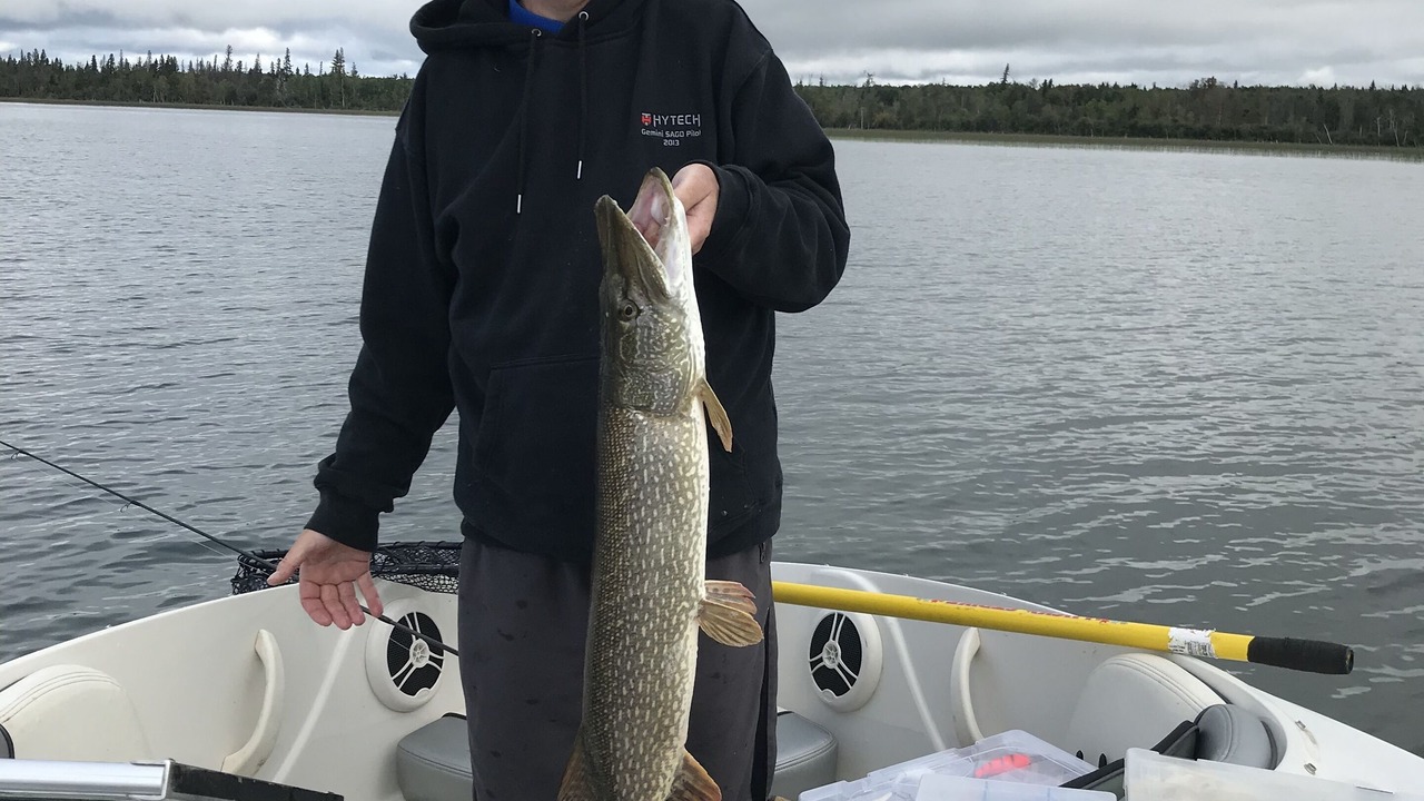 Photo of Others in West Central Saskatchewan