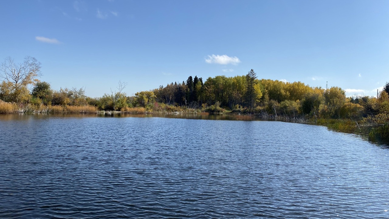 Photo of Others in West Central Saskatchewan