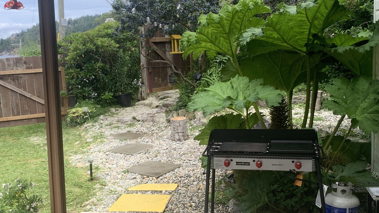 Photo of Outdoor in Garden Bay