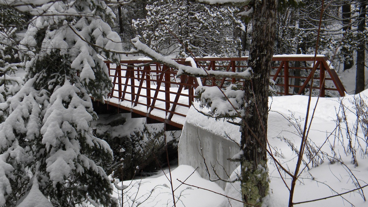 Photo of Outdoor in Mandeville