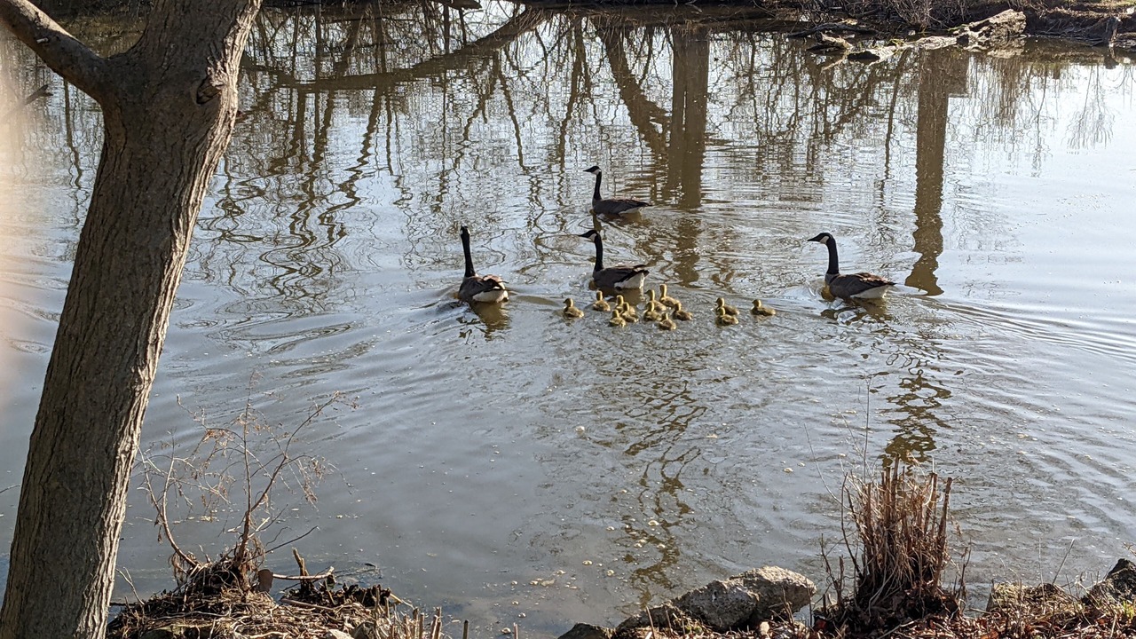 Photo of Others in Amherstburg