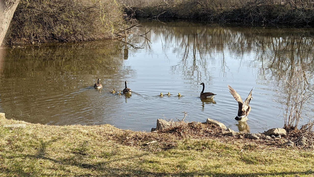 Photo of Others in Amherstburg
