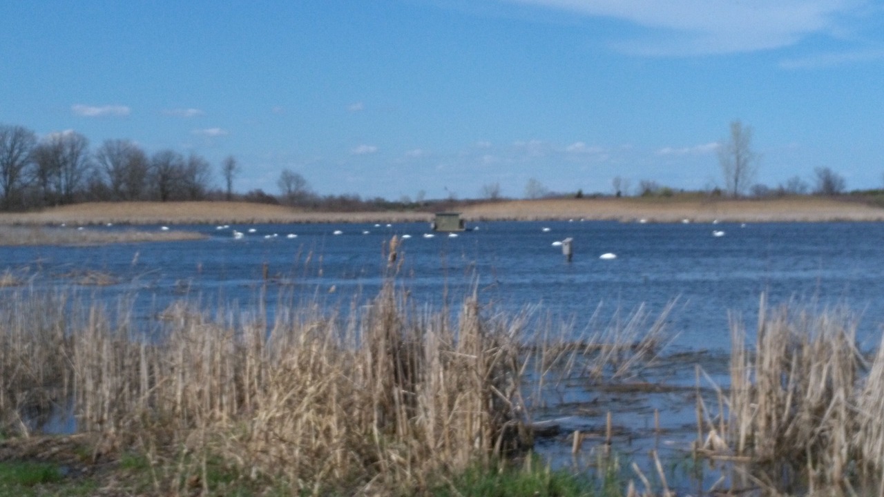 Photo of Others in Amherstburg