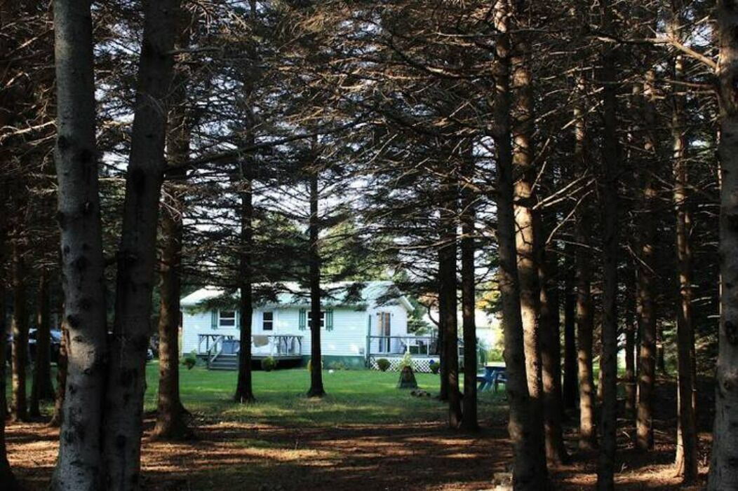 Photo of Outdoor in West Covehead