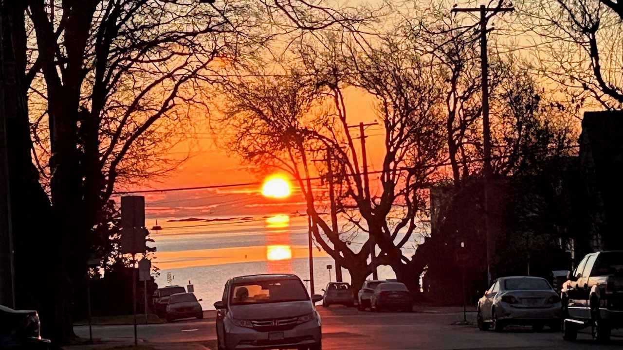 Photo of Others in Oak Bay
