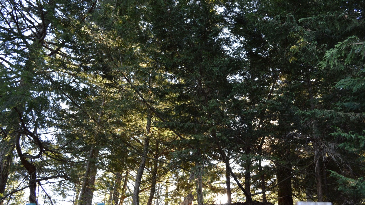 Photo of Outdoor in Salt Spring Island