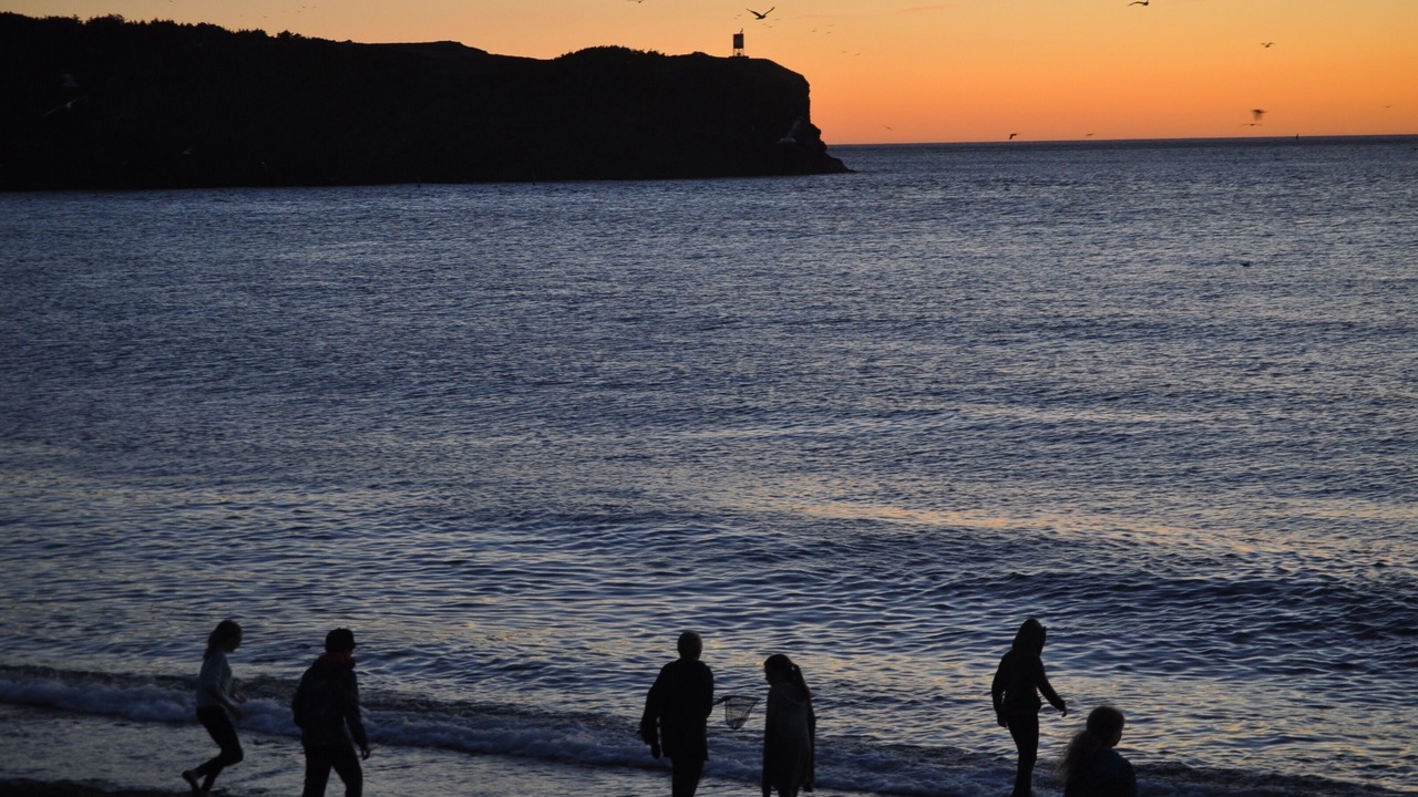 Photo of Others in Woody Point